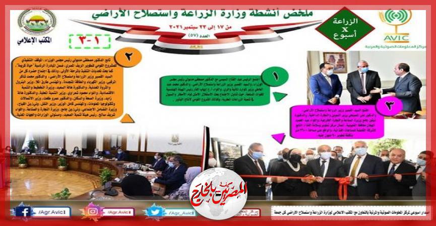 المصريين بالخارج