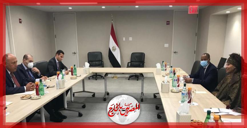 المصريين بالخارج