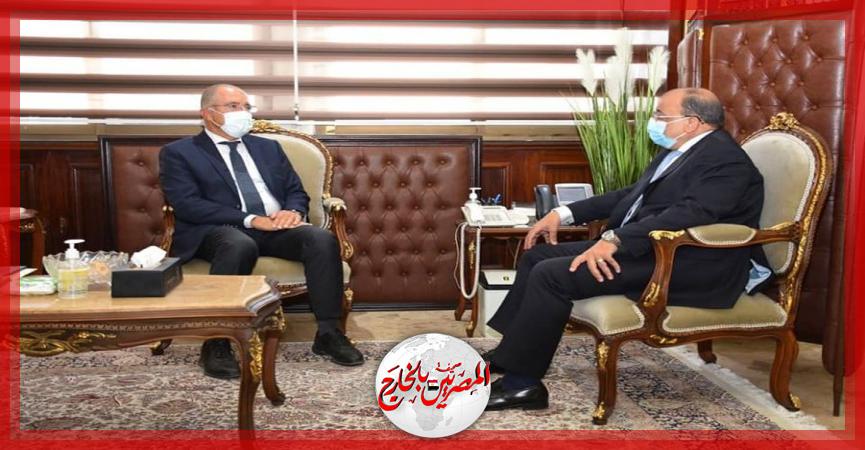 المصريين بالخارج