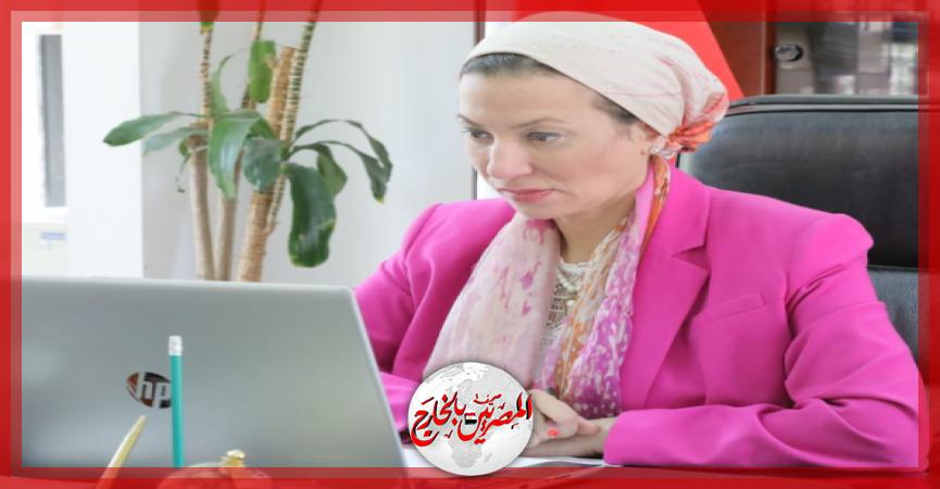 المصريين بالخارج