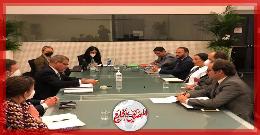 المصريين بالخارج