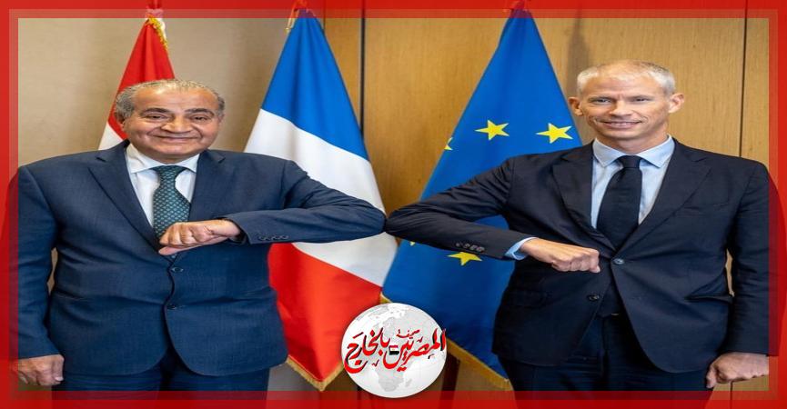 المصريين بالخارج