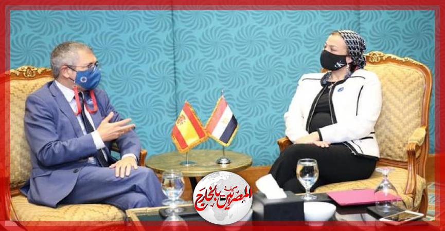 المصريين بالخارج