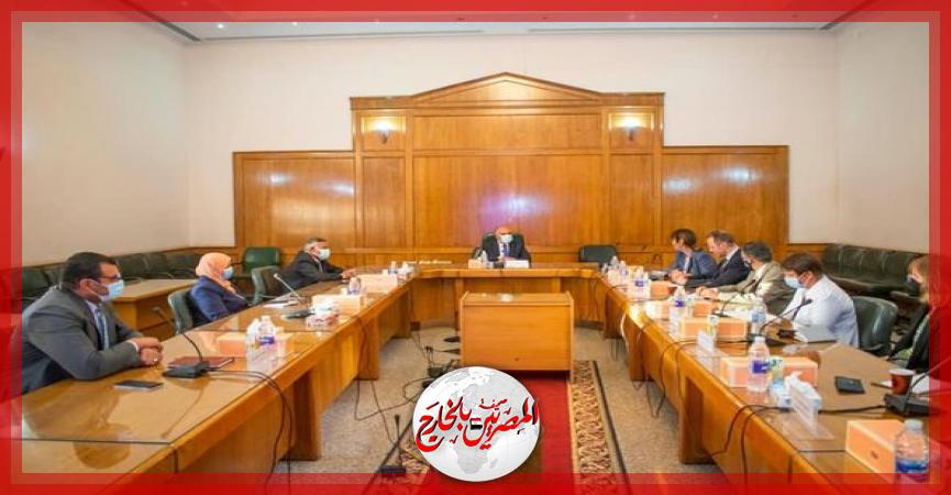 المصريين بالخارج