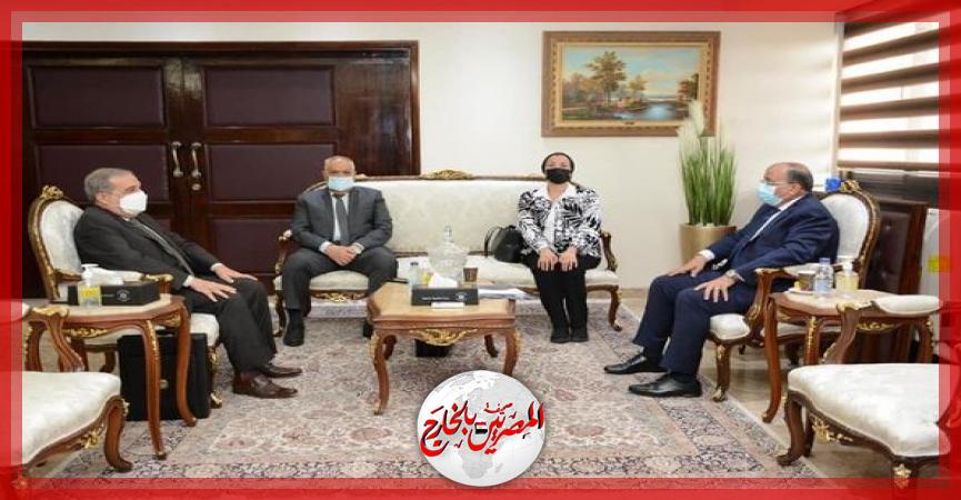 المصريين بالخارج