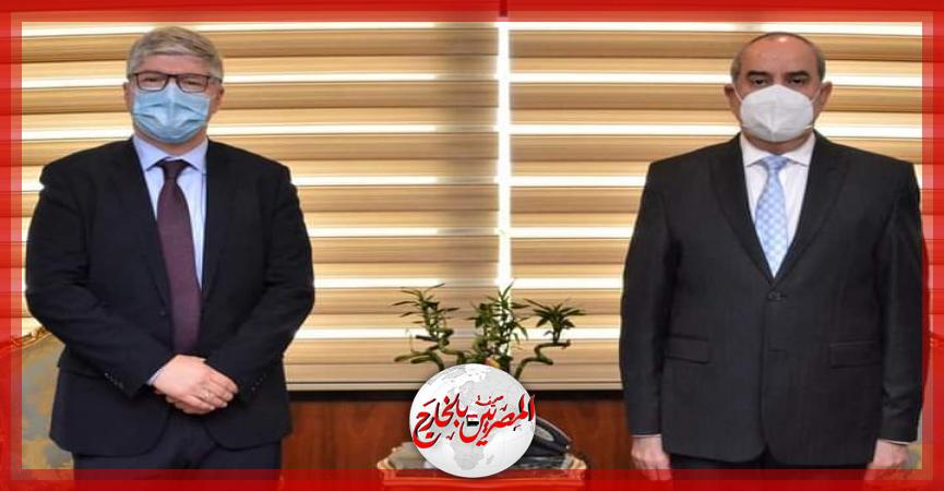 المصريين بالخارج