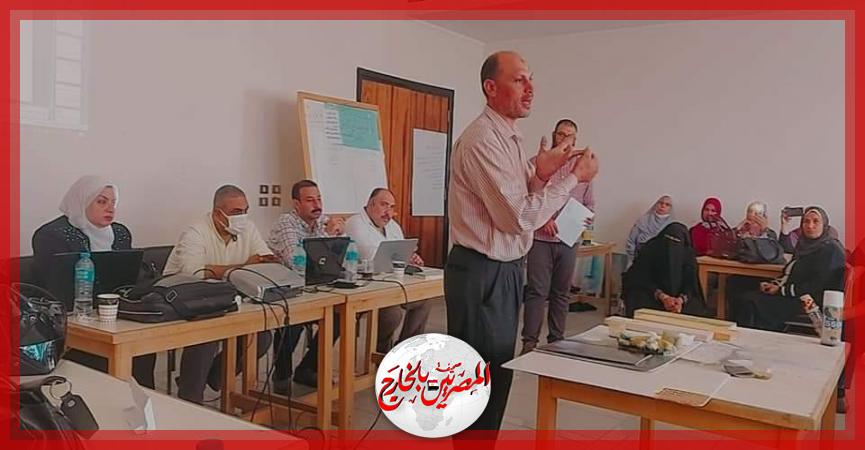 المصريين بالخارج