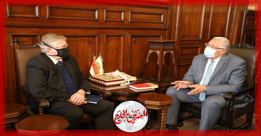 المصريين بالخارج