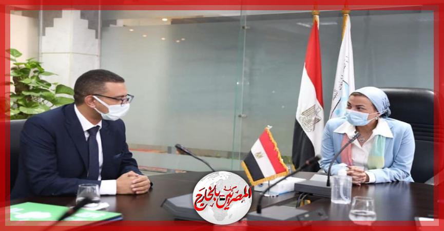 المصريين بالخارج