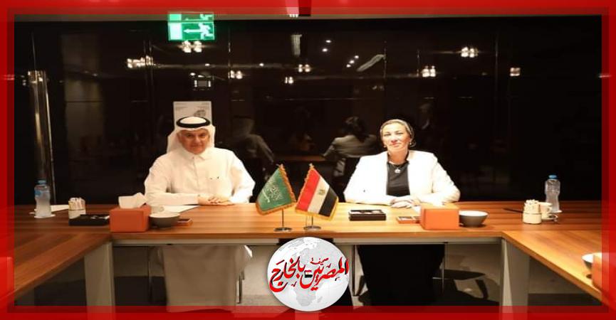 المصريين بالخارج