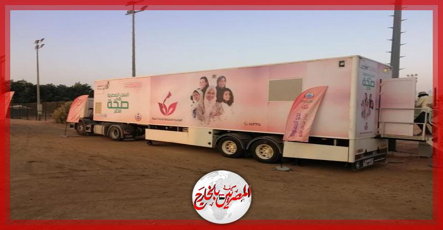 المصريين بالخارج