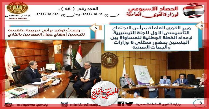 المصريين بالخارج