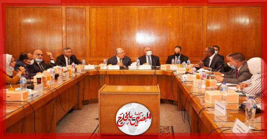 المصريين بالخارج