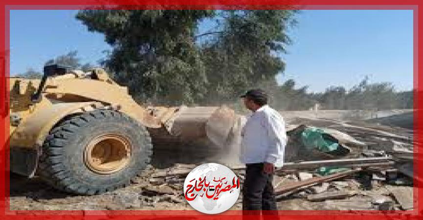 المصريين بالخارج