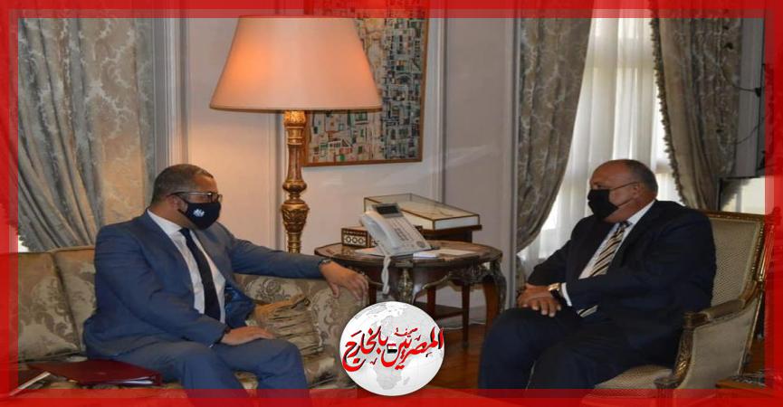 المصريين بالخارج