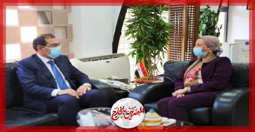 المصريين بالخارج