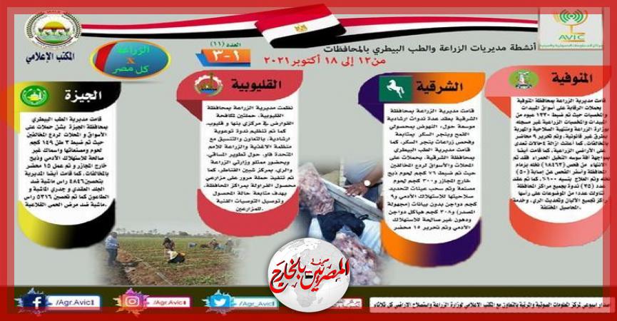 المصريين بالخارج