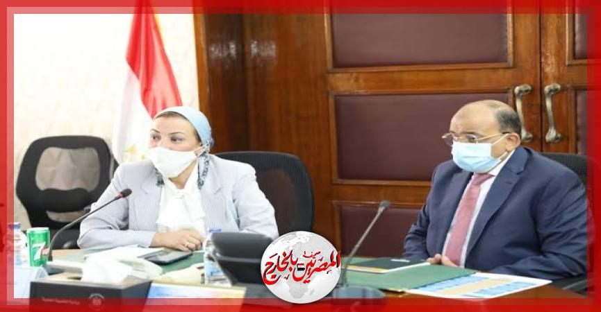 المصريين بالخارج