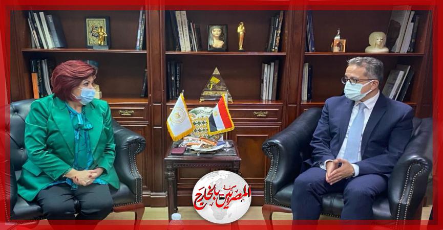 المصريين بالخارج