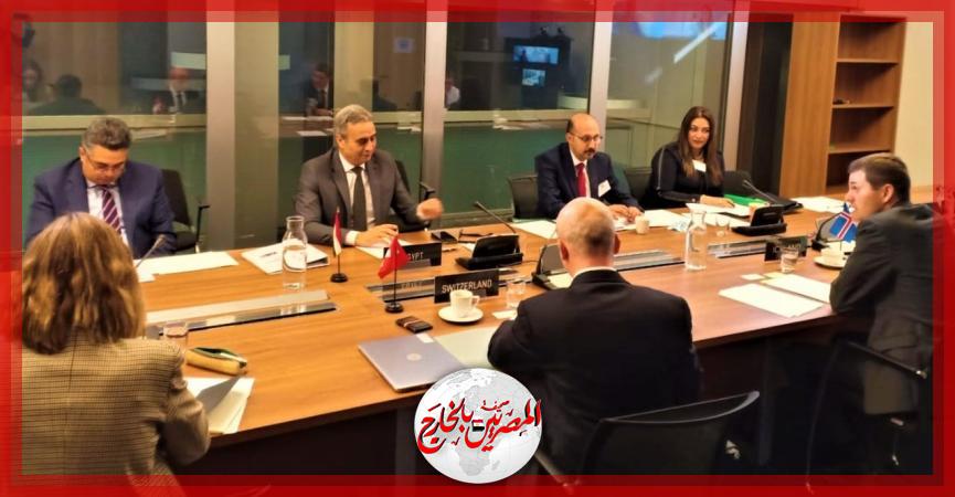 المصريين بالخارج