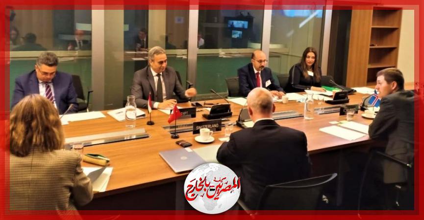 المصريين بالخارج