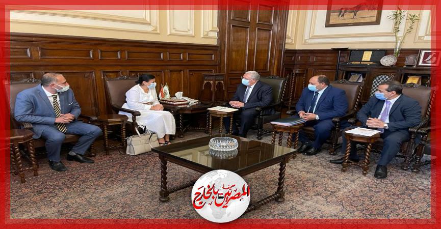 المصريين بالخارج