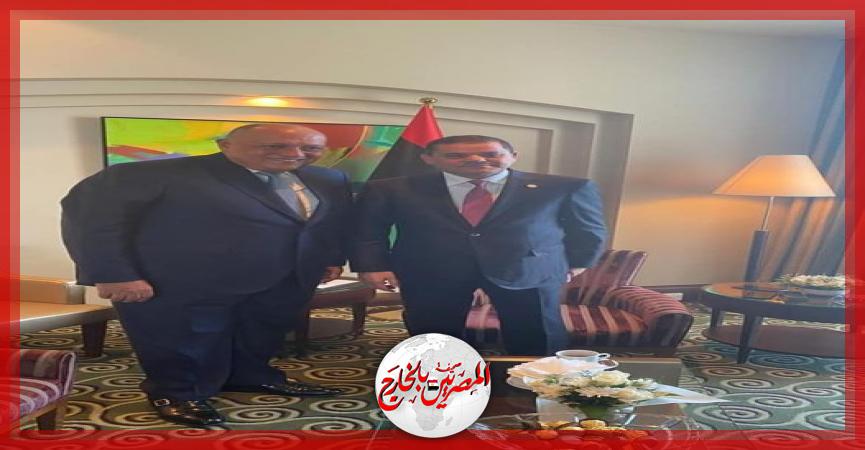 المصريين بالخارج