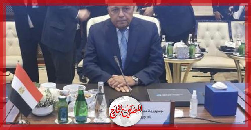 المصريين بالخارج