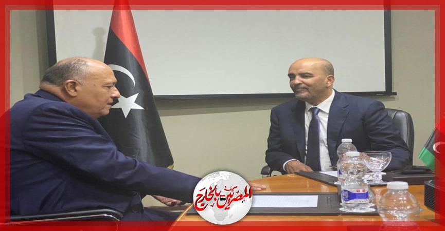 المصريين بالخارج