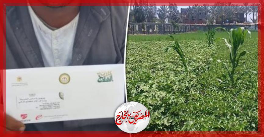 المصريين بالخارج