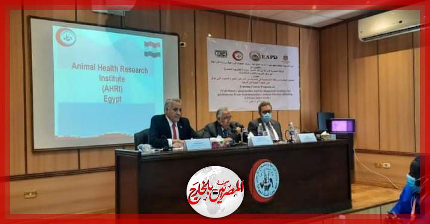 المصريين بالخارج