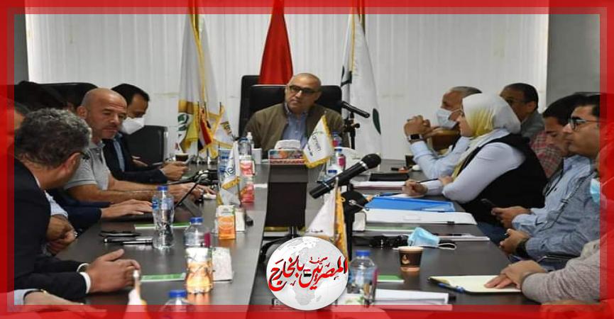 المصريين بالخارج