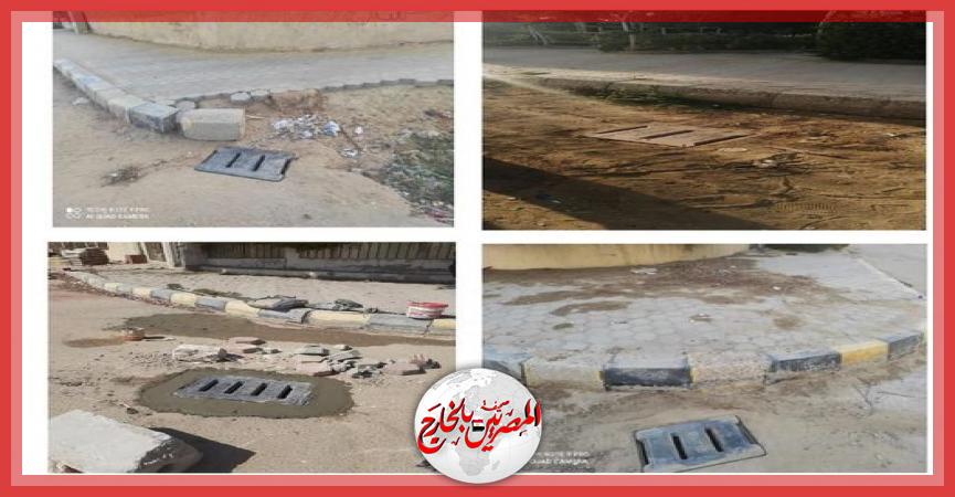 المصريين بالخارج