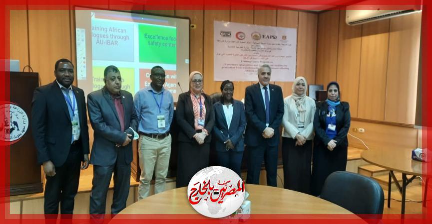 المصريين بالخارج