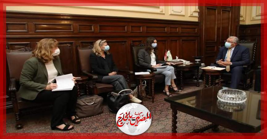 المصريين بالخارج