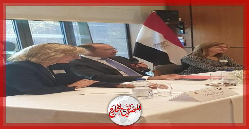 المصريين بالخارج