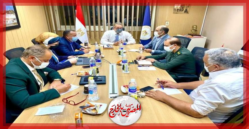 المصريين بالخارج