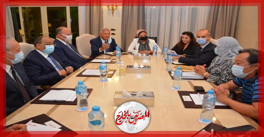 المصريين بالخارج