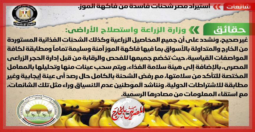 المصريين بالخارج