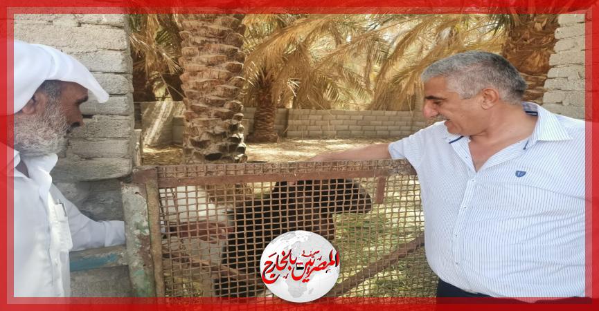 المصريين بالخارج