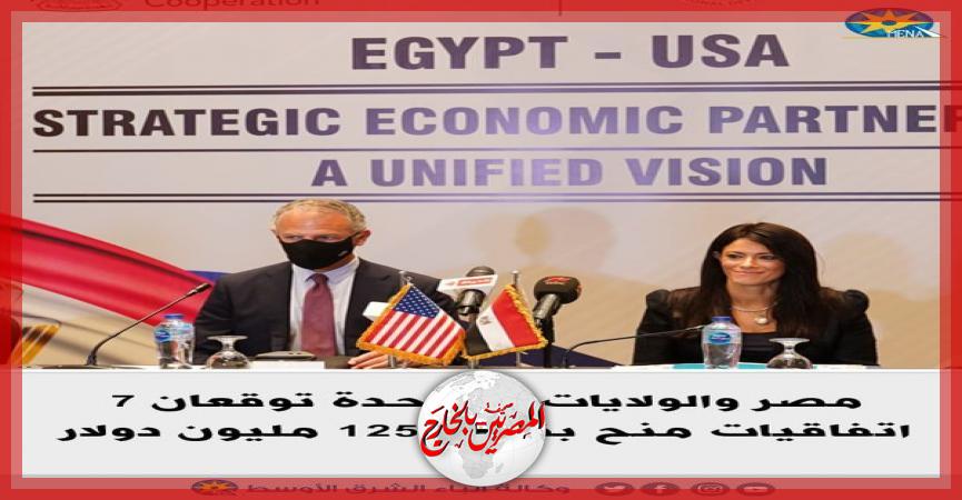 المصريين بالخارج