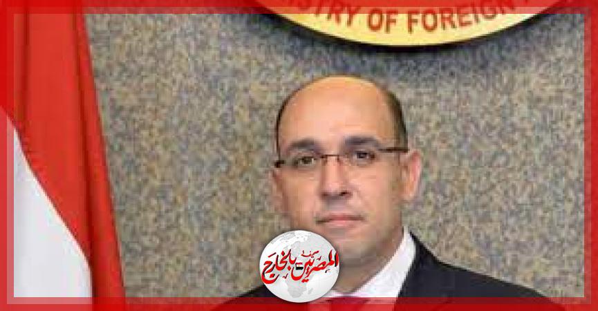 السفير أحمد حافظ المتحدث الرسمى باسم وزارة الخارجية