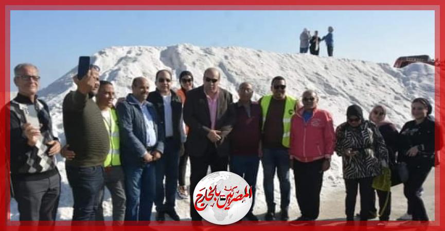 المصريين بالخارج