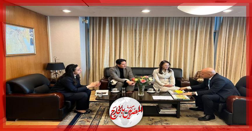 المصريين بالخارج