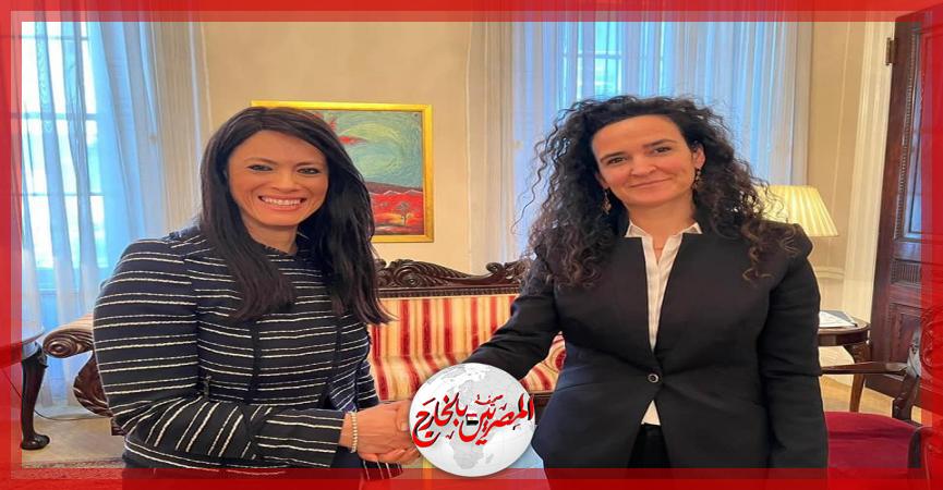المصريين بالخارج