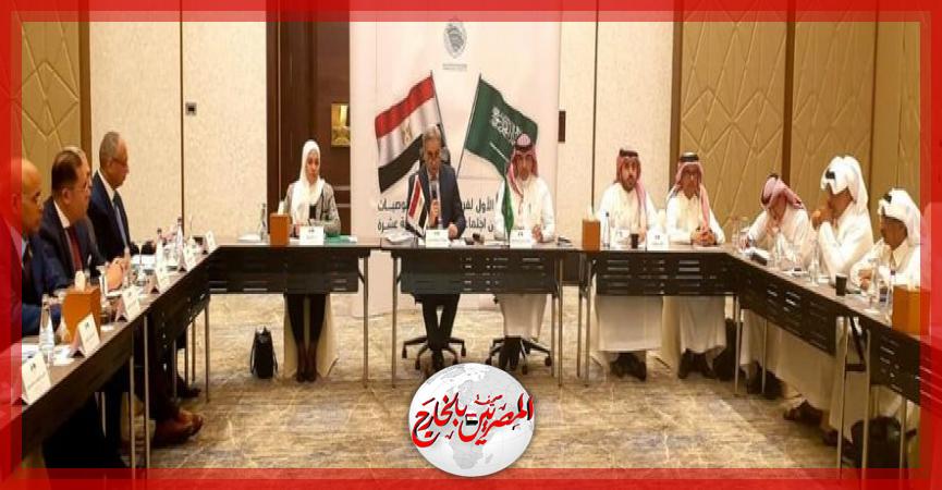 المصريين بالخارج