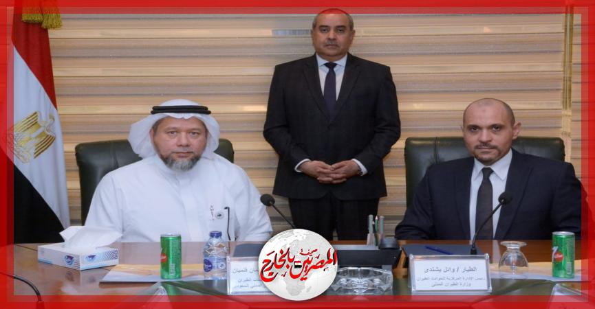 المصريين بالخارج