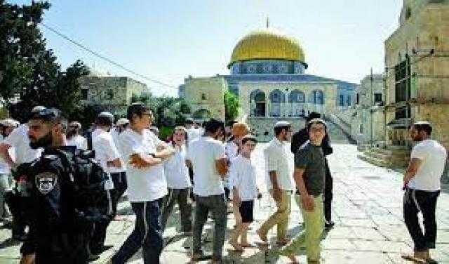 مستوطنون إسرائيليون يقتحمون المسجد الأقصى وأدوا طقوسًا تلمودية في باحاته