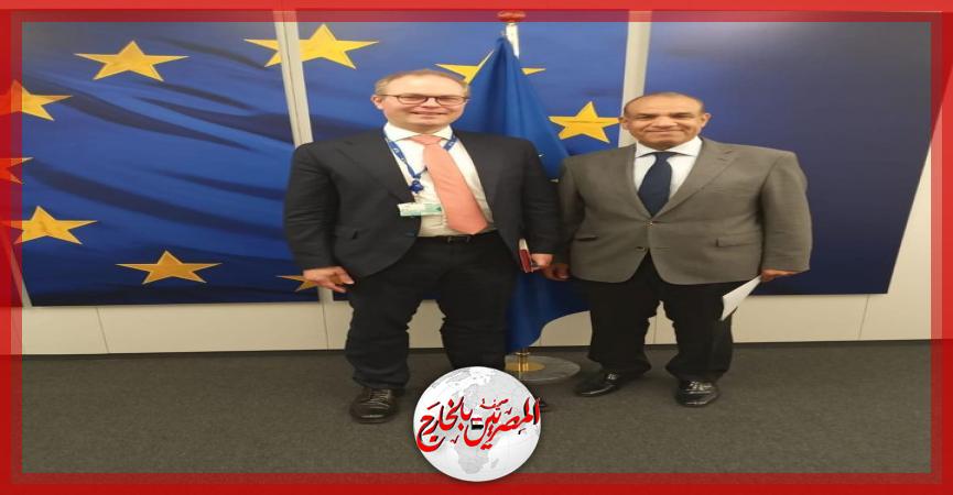 المصريين بالخارج