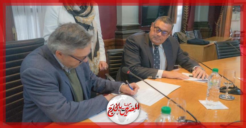 المصريين بالخارج